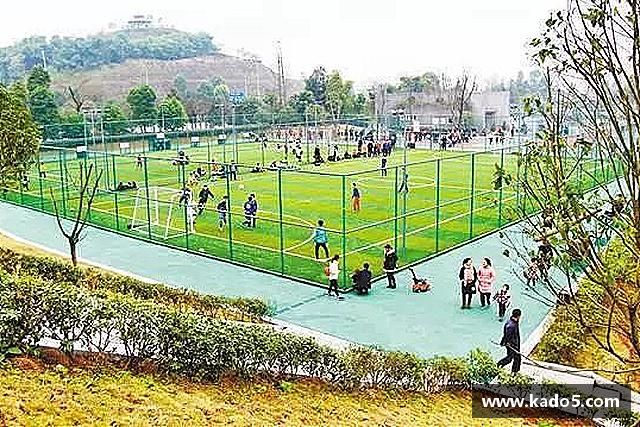 介绍bsports必一运动